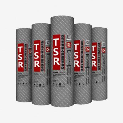 TSR（超级）聚乙烯胎改性沥青防水卷材
